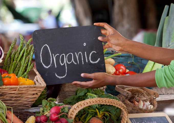 Эко здоровое питание: польза органической еды и советы для здорового образа жизни