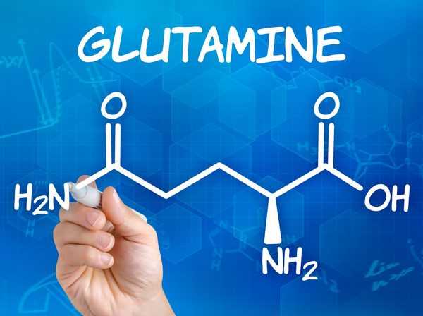 Роль глютамина в организме и его применение в спорте