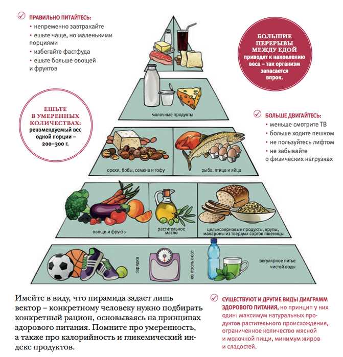 Роль различных групп пищевых продуктов в балансированном рационе