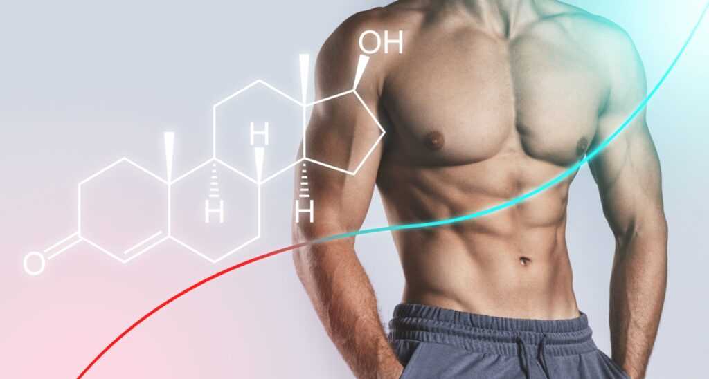 Как физическая активность влияет на уровень тестостерона в организме?