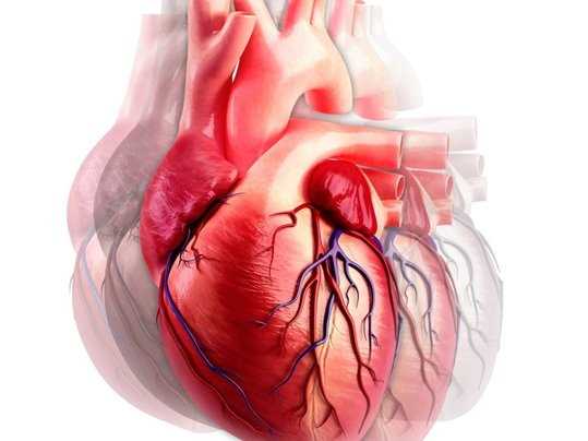 Рекомендации по физической активности для пациентов с шумами в сердце