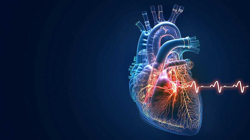 Как физическая нагрузка влияет на сердце при шуме: симптомы, риски и рекомендации