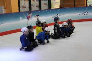 Развитие координации и гибкости при занятиях хоккеем