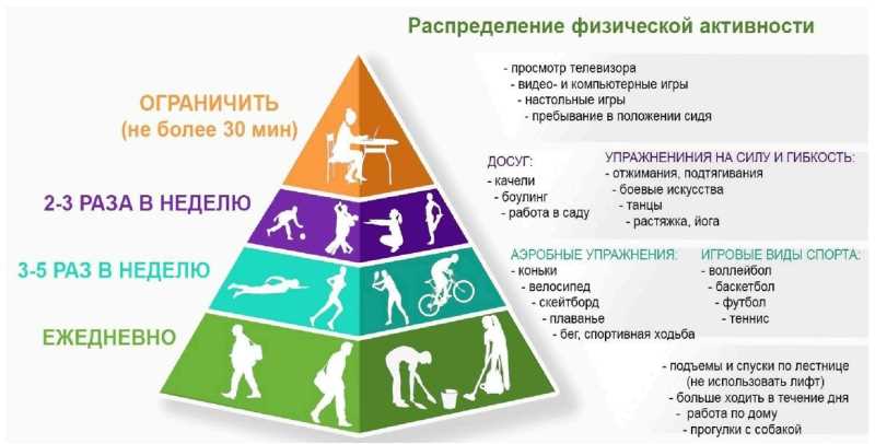 Физическая активность и ее важность для здорового образа жизни