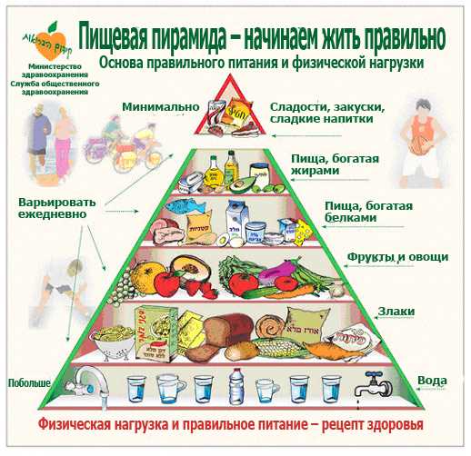 Пирамида физической активности: эффективные рекомендации для здорового образа жизни
