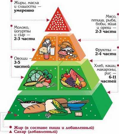 Пирамида здорового питания для детей: советы и рекомендации