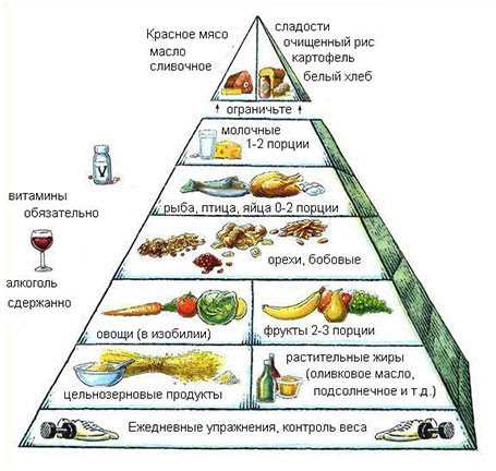 Как использовать пирамиду питания
