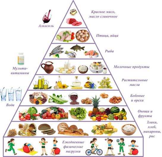 Принципы формирования пирамиды питания