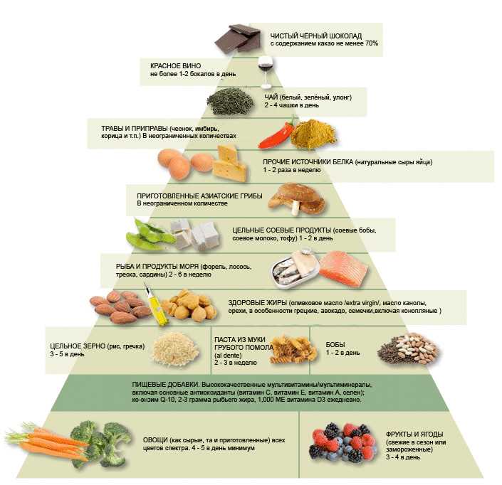 Влияние диеты на состояние органов пищеварительной системы
