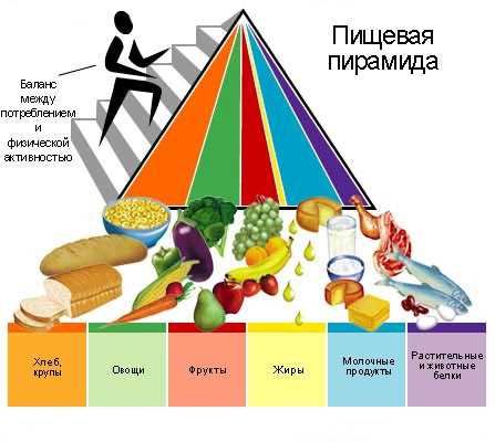 Организация диеты: важные аспекты выбора питания