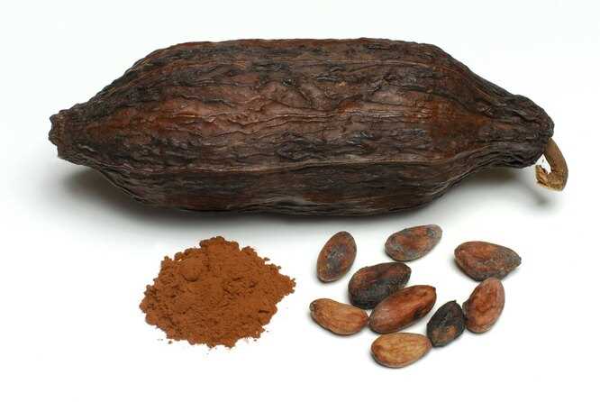 Отборные какао-бобы от Оргтиум для здорового питания