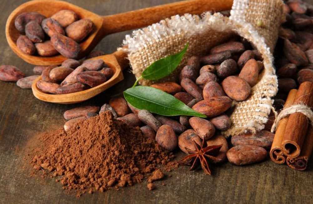 Польза какао: как включить его в здоровое питание