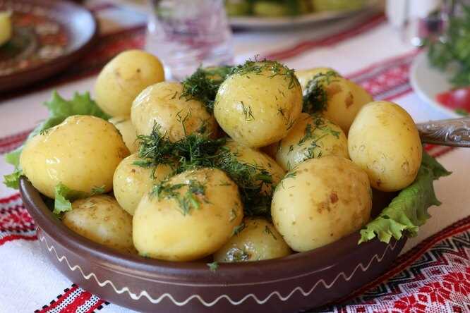 Польза картошки: почему она является частью здорового питания