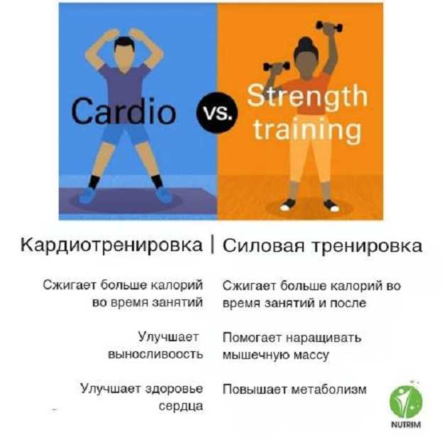 Преимущества спорта без физических нагрузок: сохранение здоровья и эффективность тренировок