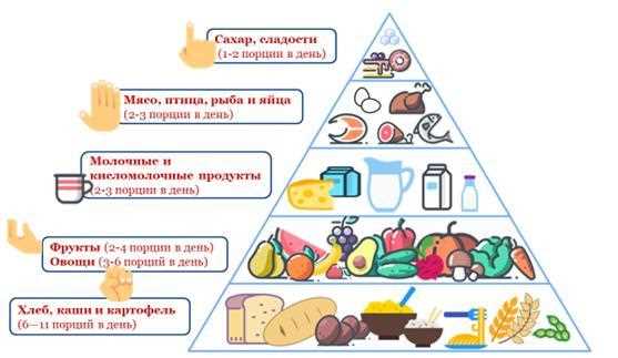 Роль полезных продуктов в поддержании здорового образа жизни