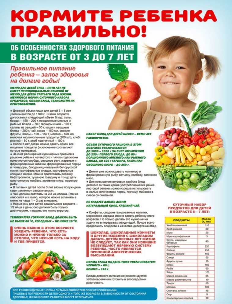 Рекомендации по здоровому питанию ребенка: основные принципы и полезные советы