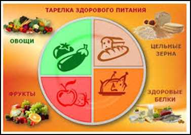 Польза адыгейского сыра для здорового питания