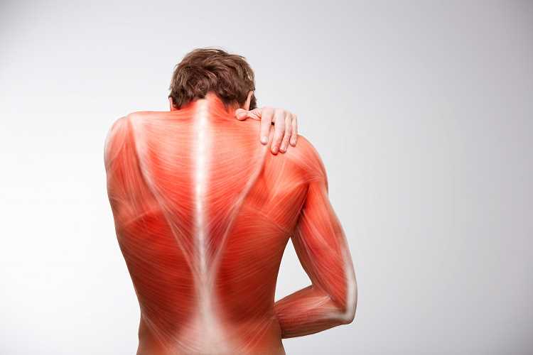 Основные признаки и симптомы спазмов мышц