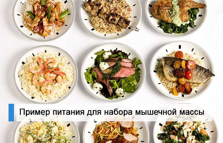 Преимущества развесной формы спортивного питания в Воронеже