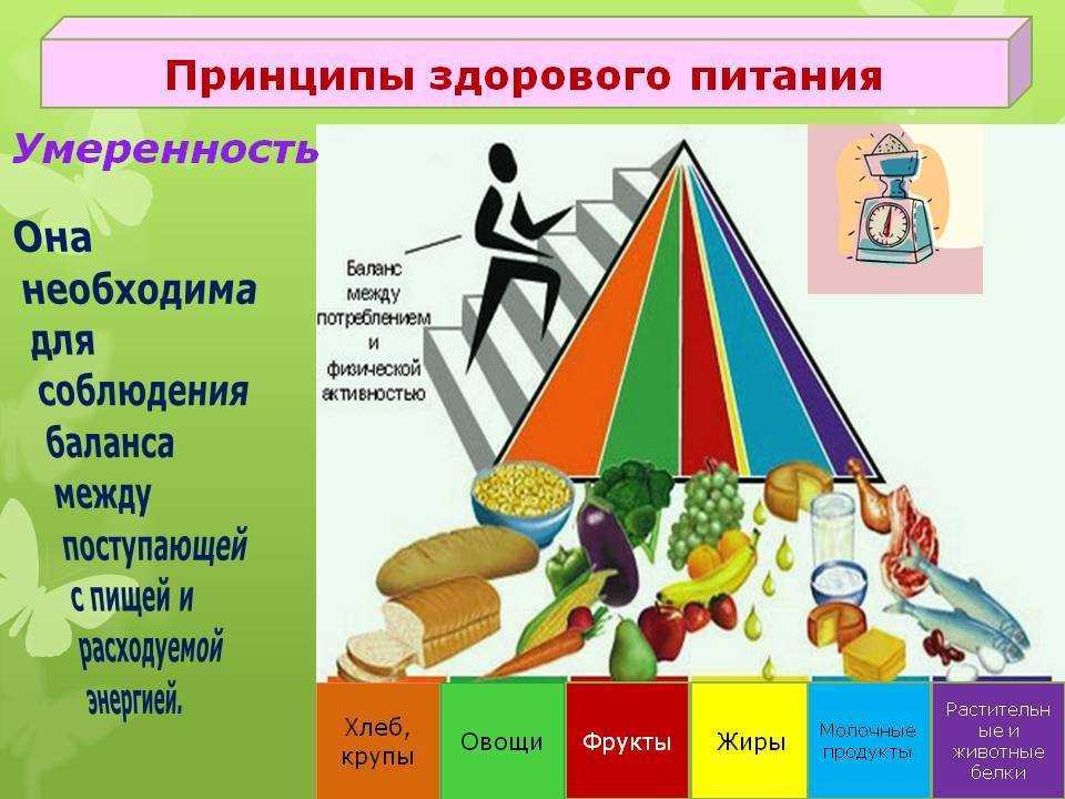 Структура здорового питания: 5 основных принципов