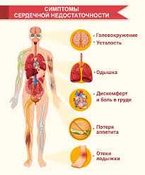 Основные признаки и виды цианоза при физической нагрузке
