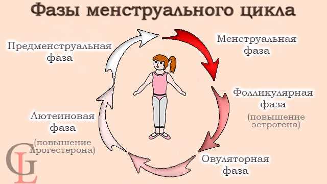 Цикл и физические нагрузки: как правильно сочетать тренировки и менструацию