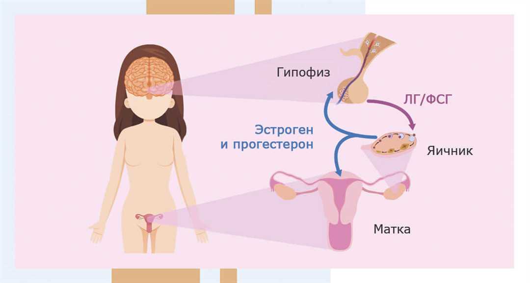 Влияние физической активности на гормональную систему: последствия и советы