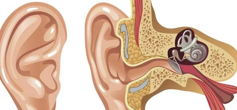 Рекомендации по уходу за ушами после физической активности