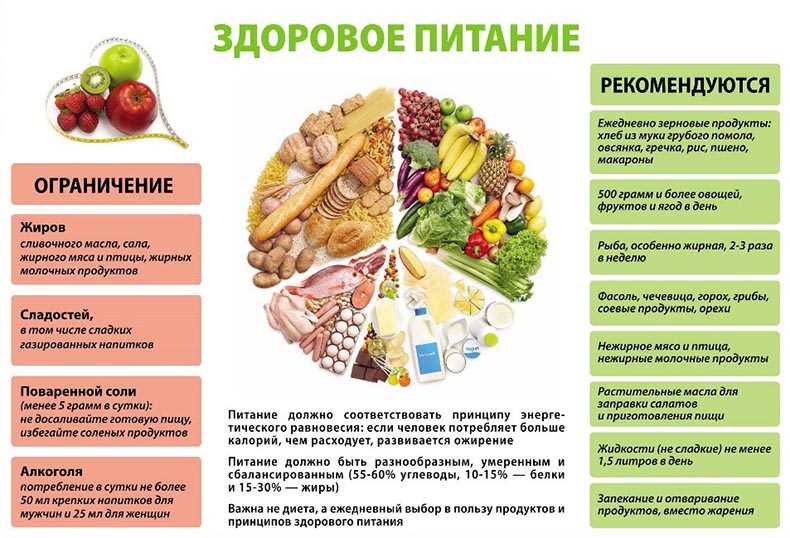 Разнообразие питательных продуктов в рационе для похудения