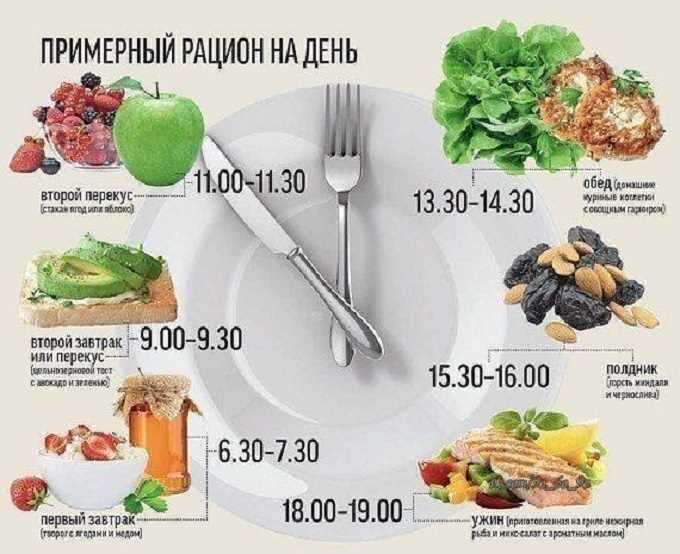 Здоровое питание: идеальное меню завтрака для поддержания здоровья