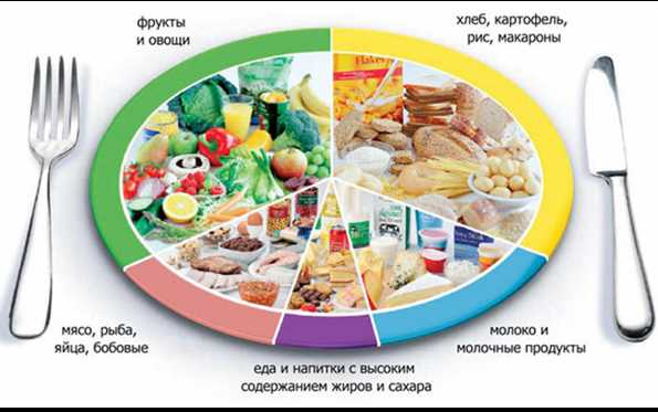 Здоровое питание: основные принципы формирования меню