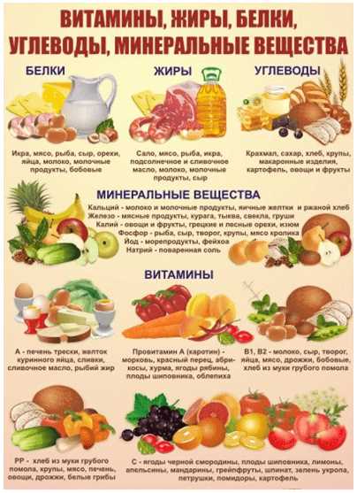 Роль органических продуктов в здоровом питании