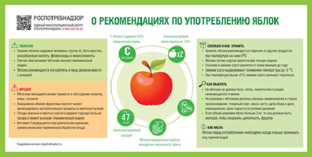 Яблоки в рационе здорового питания