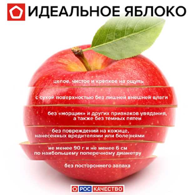 Здоровое питание яблоко: полезные свойства, рецепты, советы
