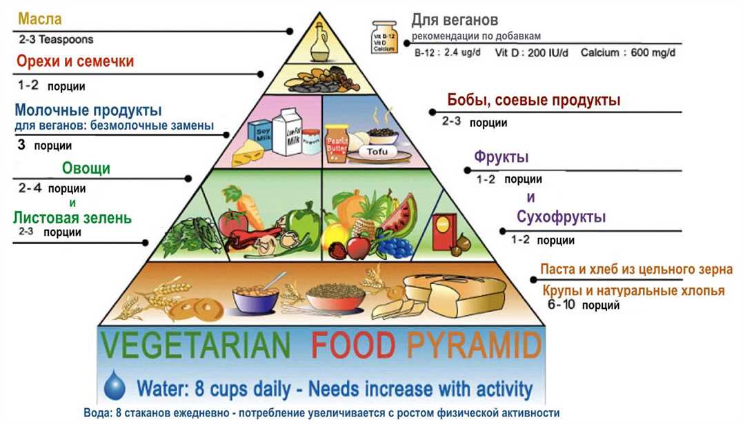 Как сбалансировать рацион и получить все необходимые питательные вещества в вегетарианстве?